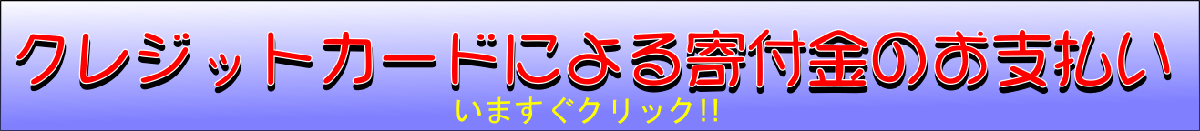 クレジットカードによる寄付金のお支払い.png